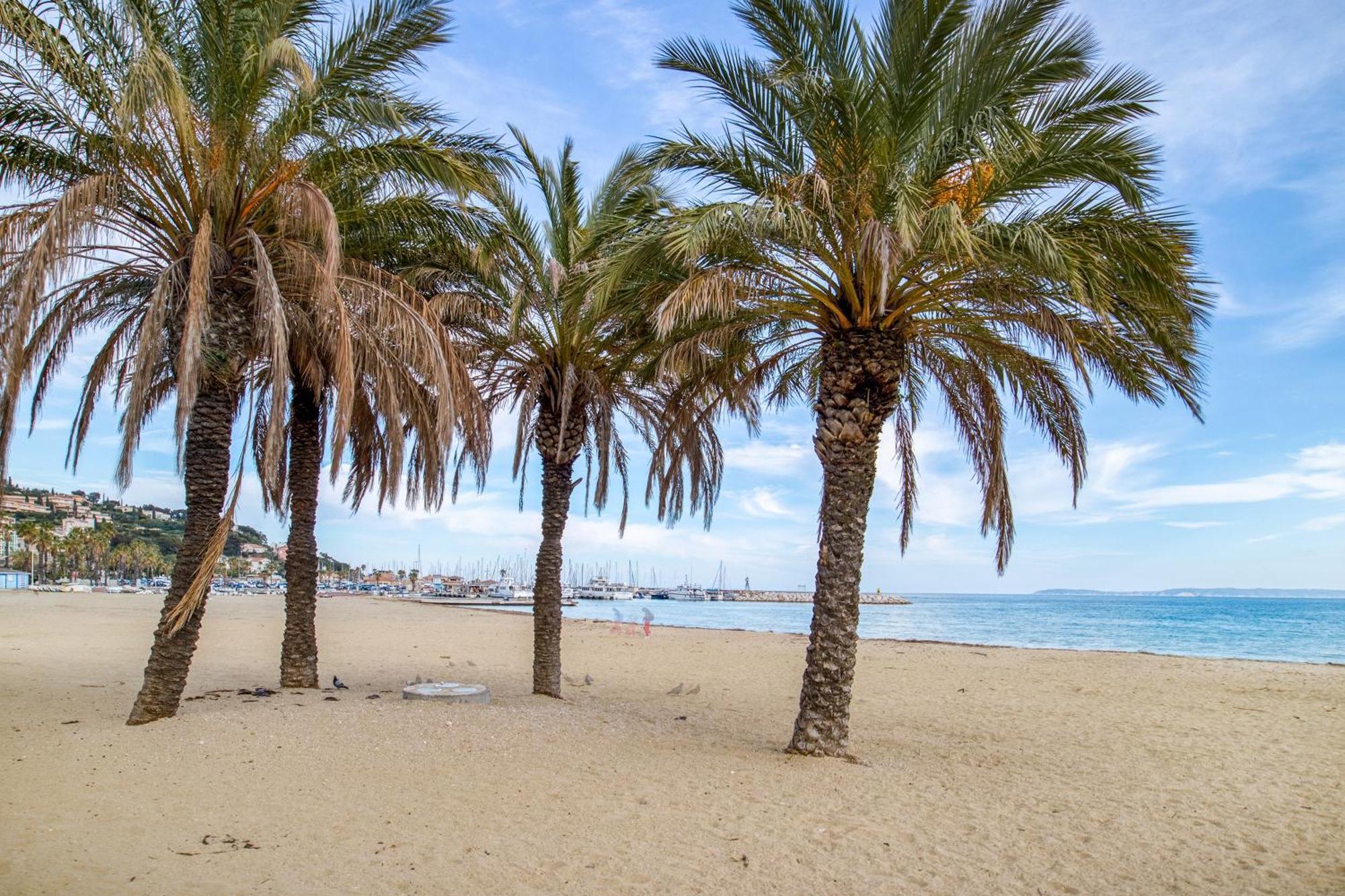 Nouvelle Ere - Appt A Moins D'Un Km De La Plage Ле-Лаванду Экстерьер фото